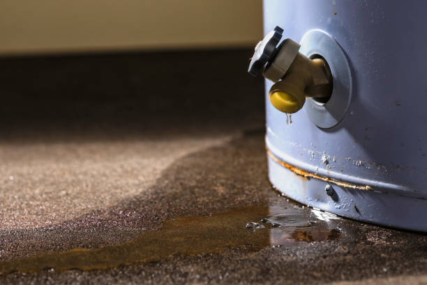 Best Flood damage cleanup  in Blue Rapids, KS
