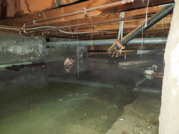 Best Water damage restoration experts  in Blue Rapids, KS