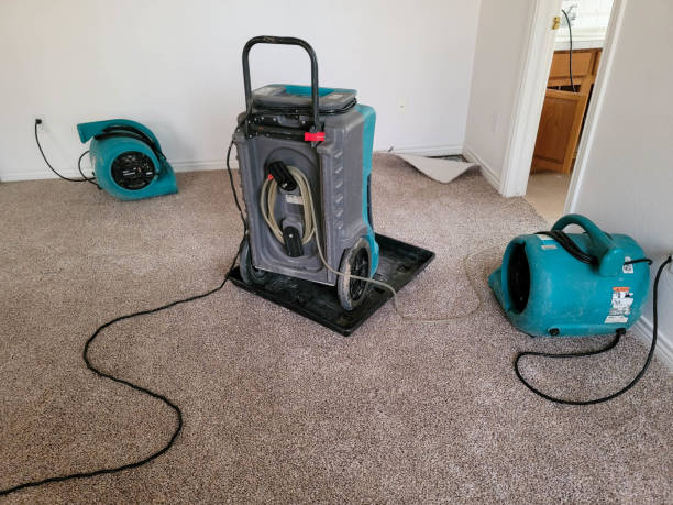  Blue Rapids, KS Water damage restoration Pros