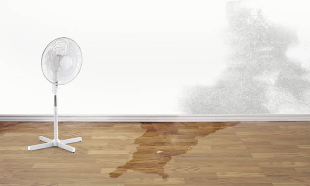 Water damage restoration experts in Blue Rapids, KS