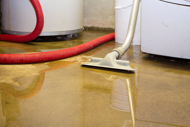 Water damage restoration insurance claims in Blue Rapids, KS