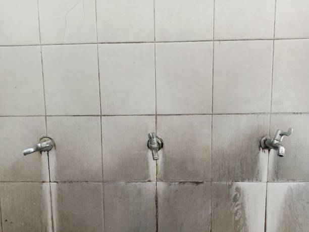 Best Water damage restoration company  in Blue Rapids, KS
