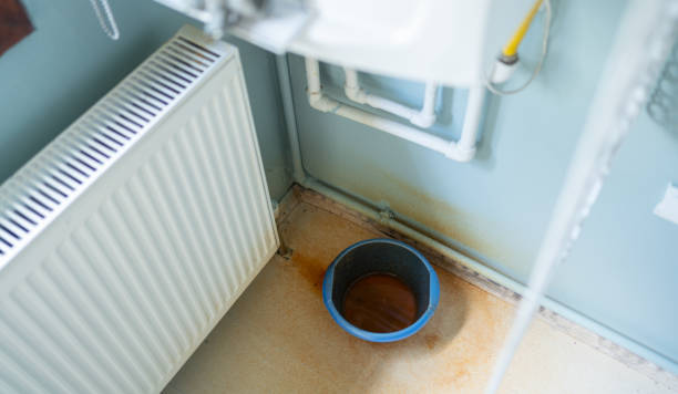 Best Sewage cleanup and water damage restoration  in Blue Rapids, KS